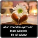 Glbir24