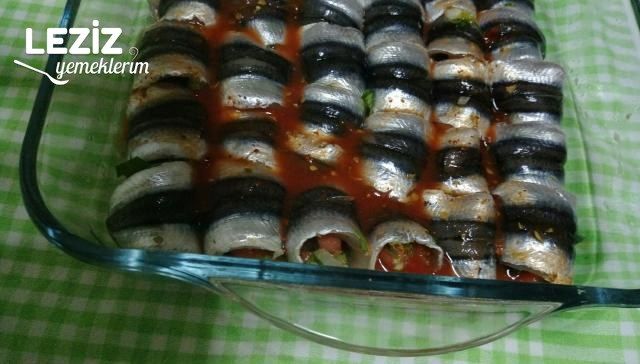 Hamsi Dolma