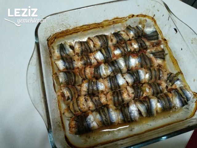 Hamsi Dolma