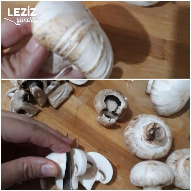 Tereyağlı Mantar