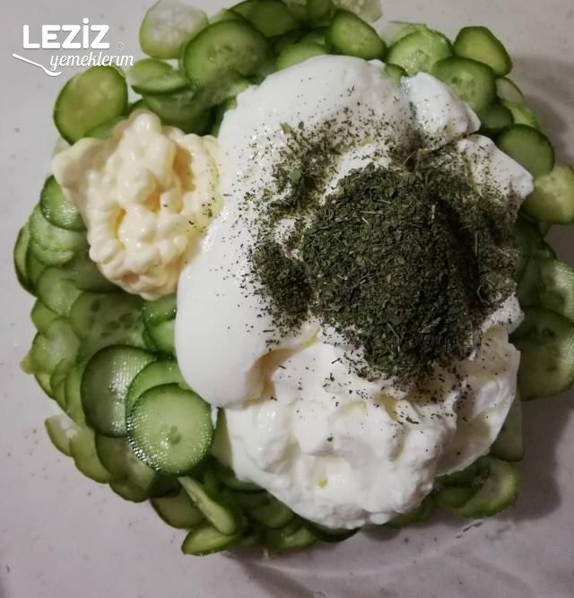 Fresh Salata