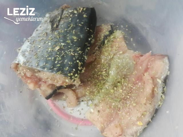 Tost Makinasında Palamut
