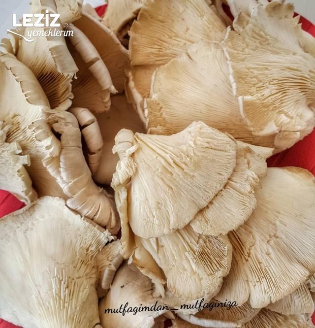 İstiridye Mantarı Kavurması