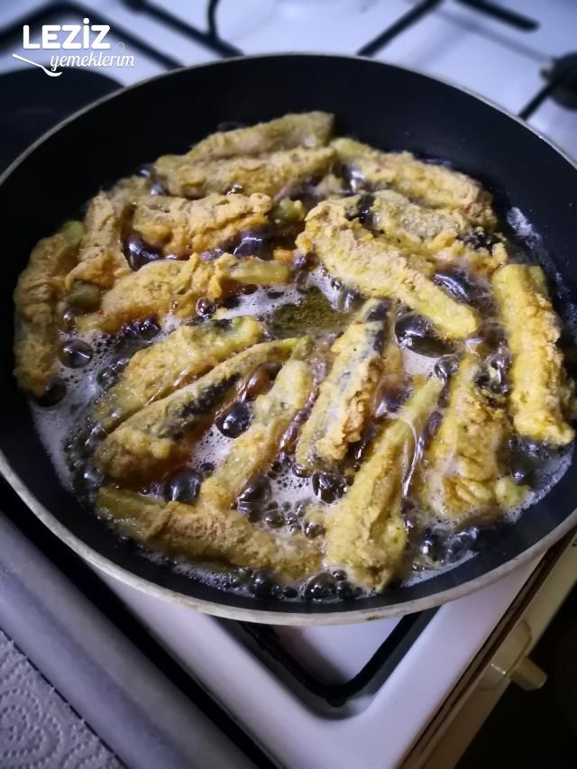 Patlıcan Balığı (Sanki Balık)