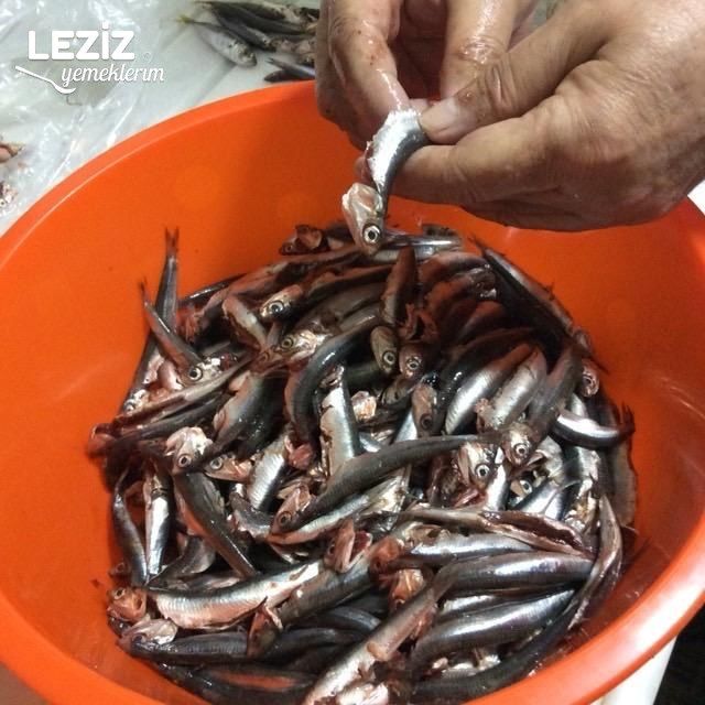 Hamsi Tava Tarifi, Nasıl Yapılır