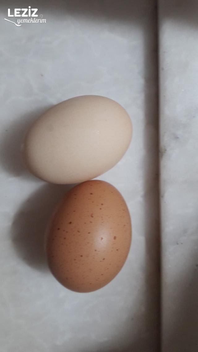 Patatesli Kabak Mücver Tarifi