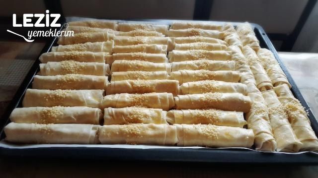 Patatesli Tavuklu Paçanga Böreği
