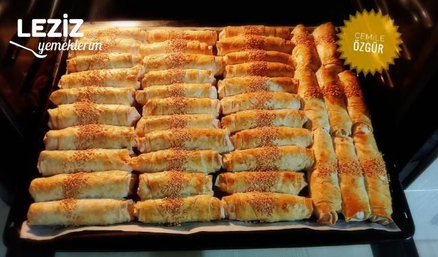 Patatesli Tavuklu Paçanga Böreği