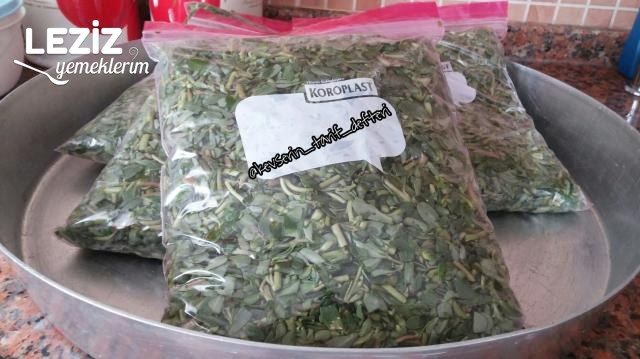 Dondurucuya Semizotu Konulması
