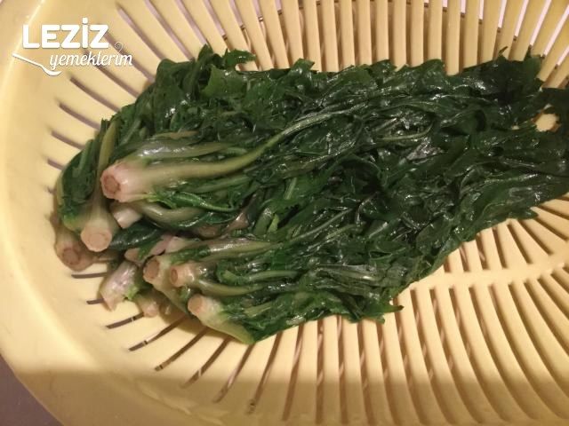 Radika Salatası