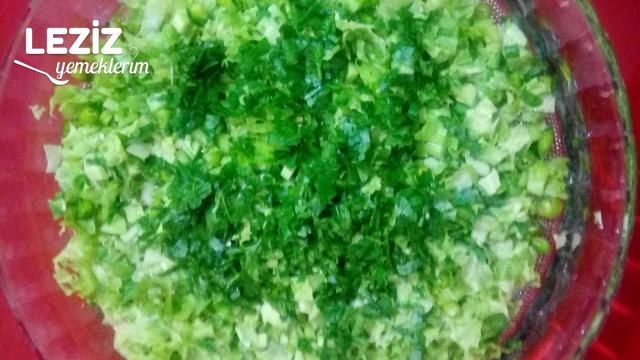 Yalçın'ın Nefis Salatası
