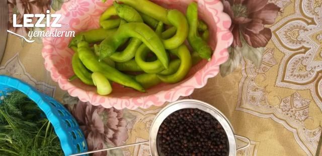 Beyaz Salatalık Turşusu