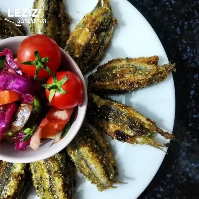 Nefis Hamsi Kuşu