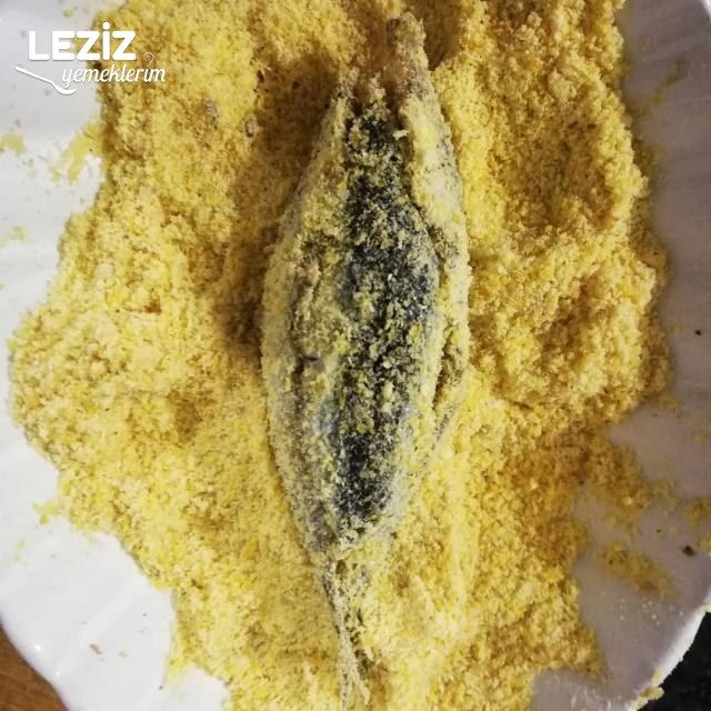 Nefis Hamsi Kuşu