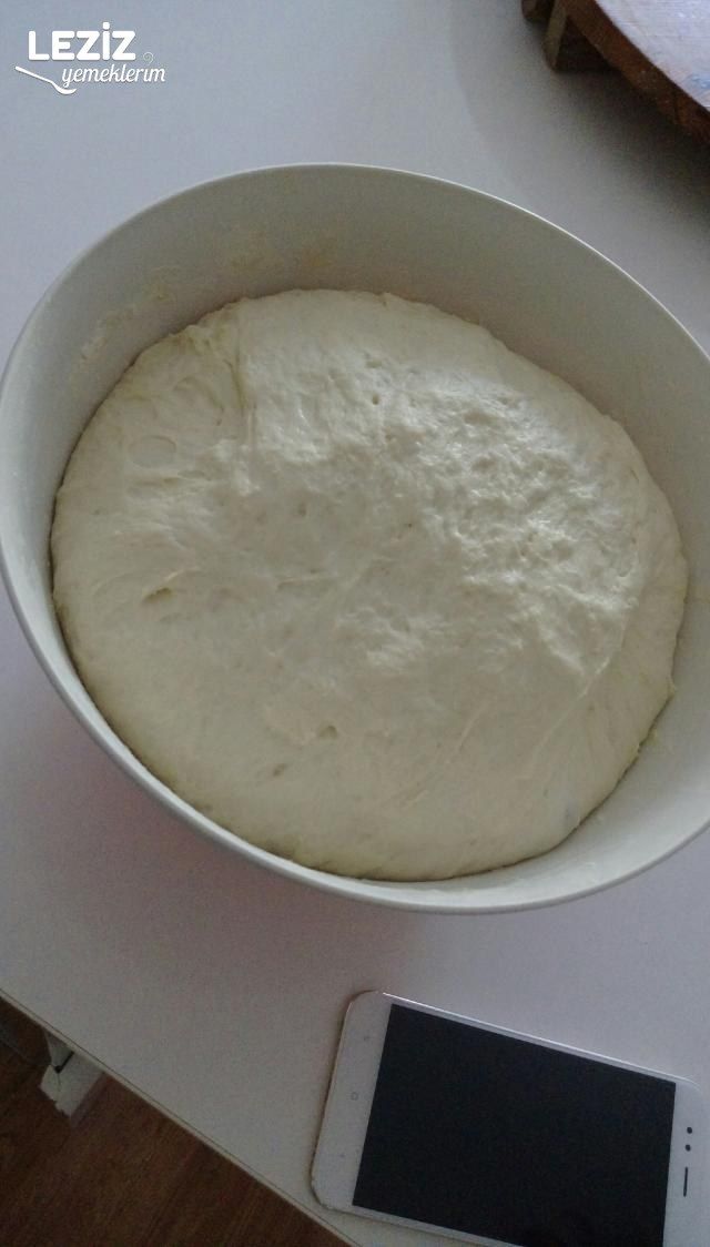 Nefis Patatesli Kol Böreği