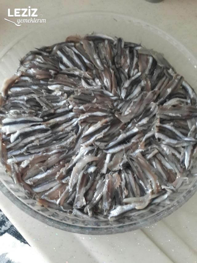 Hamsi Buğulama