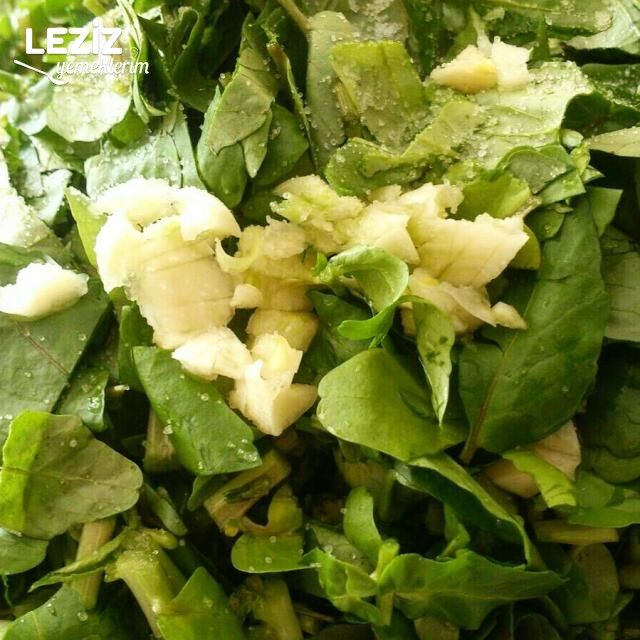 Su Teresi Salatası
