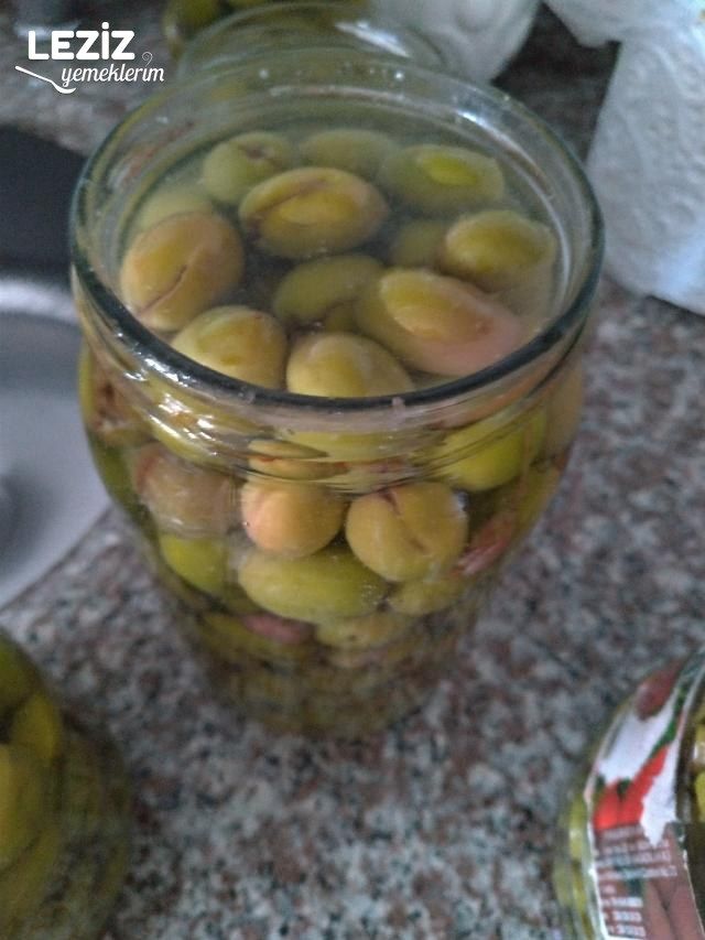 Yeşil Zeytin Yapımı