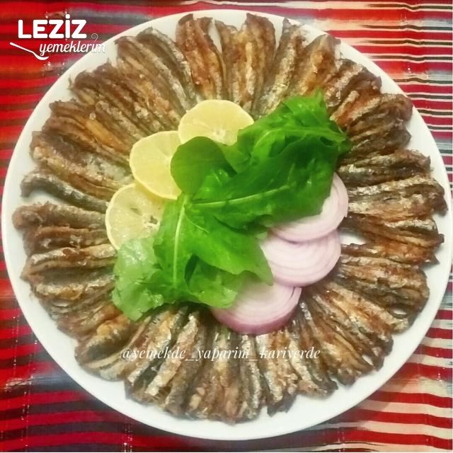 Tavada Hamsi Balığı