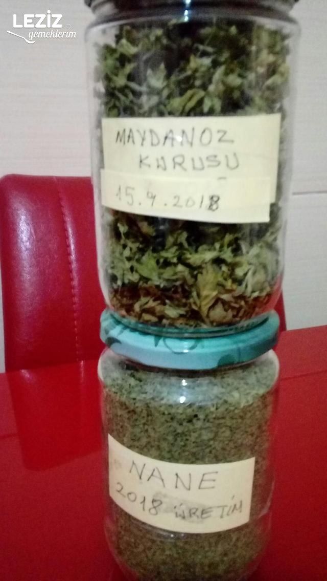 En Son Maydanoz Saklama Usulü