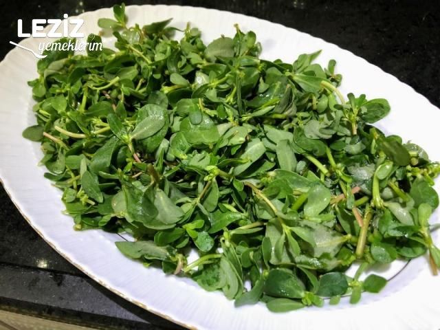 Yoğurtlu Mercimekli Semizotu Salatası