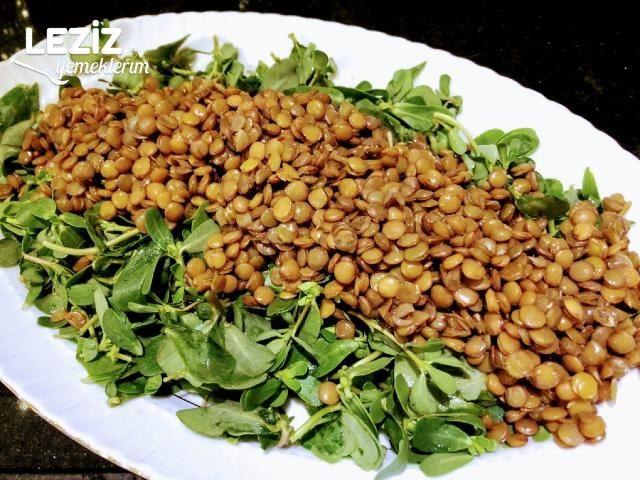 Yoğurtlu Mercimekli Semizotu Salatası