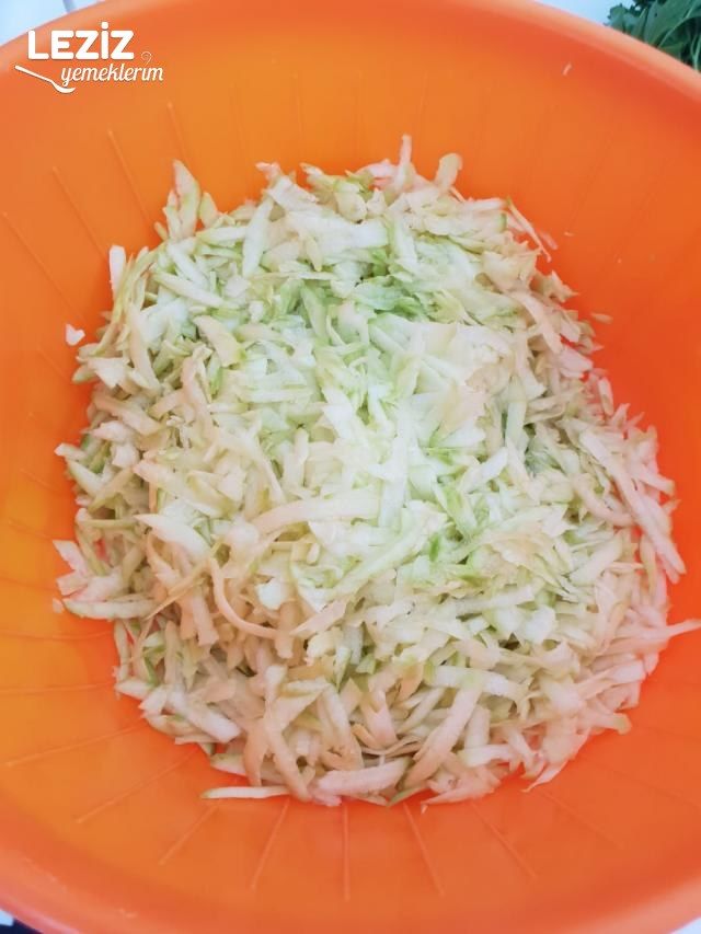 Peynirli Kabak Mücveri
