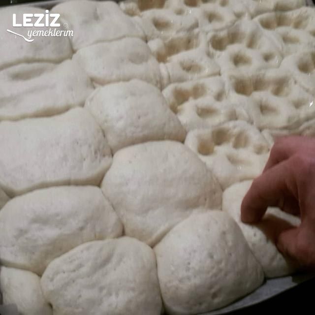 Nefis Dızmana ( Tepsi Mayası)
