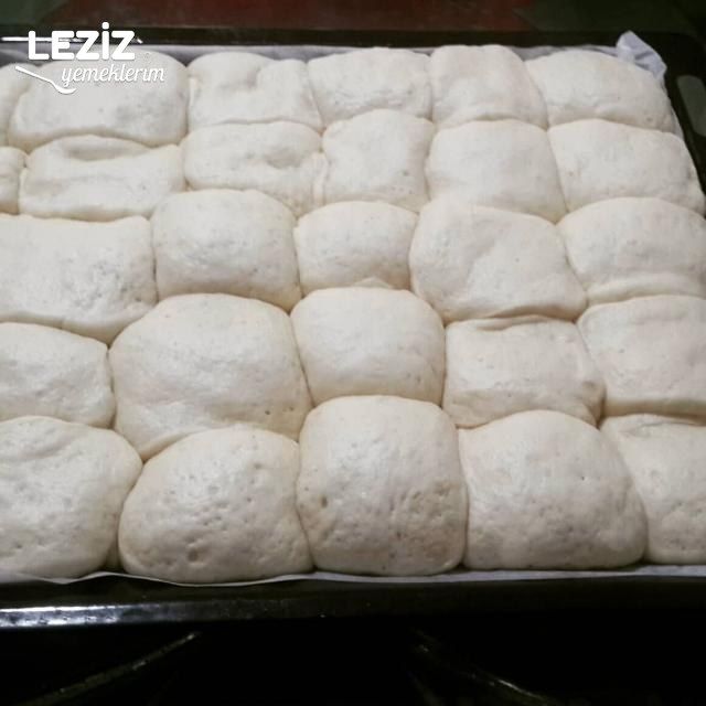 Nefis Dızmana ( Tepsi Mayası)
