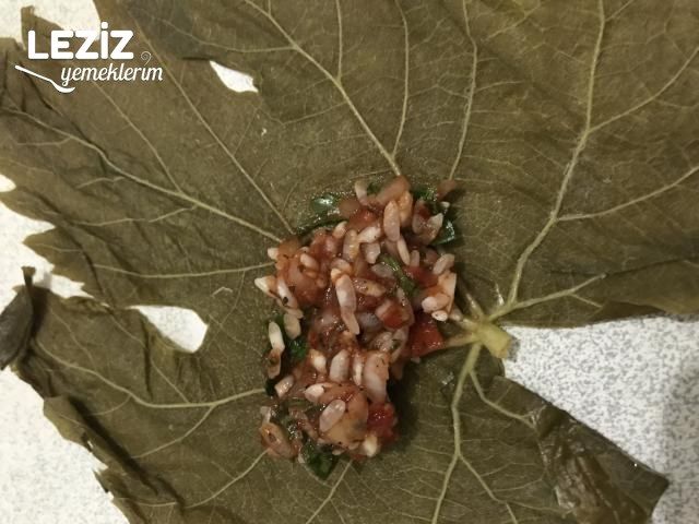 Pişmeyen İç Harçtan Zeytinyağlı Sarma (Tüm Aşamalarla)