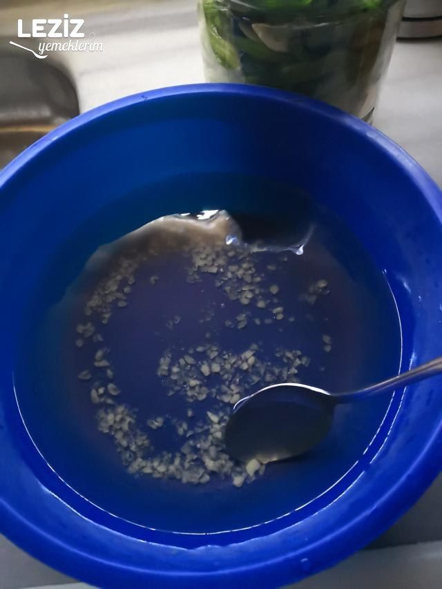 Sap Turşusu