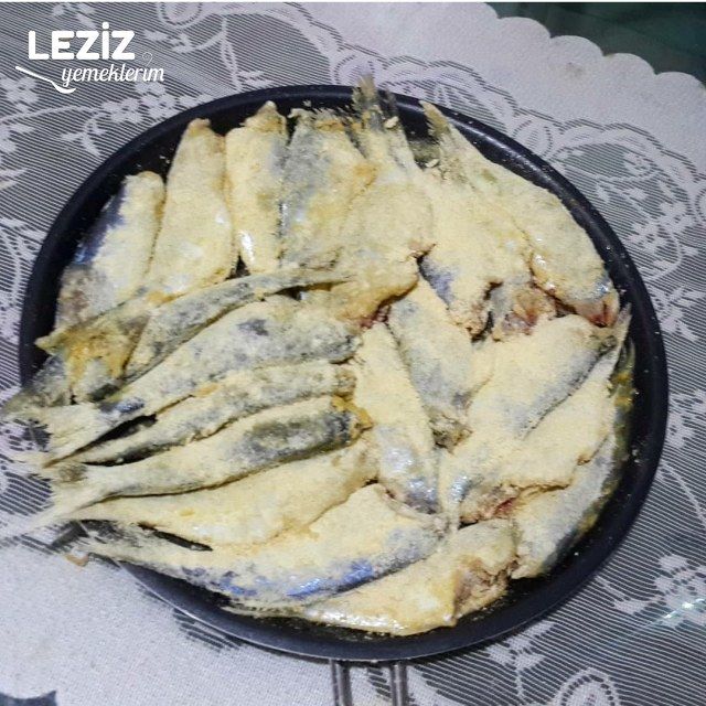 Nefis Çinekop Tava