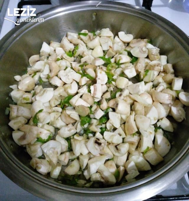 Mantar Sote (Aşamalı Anlatım)