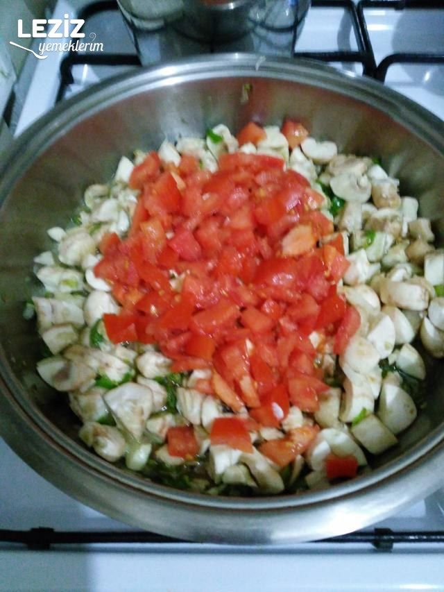 Mantar Sote (Aşamalı Anlatım)