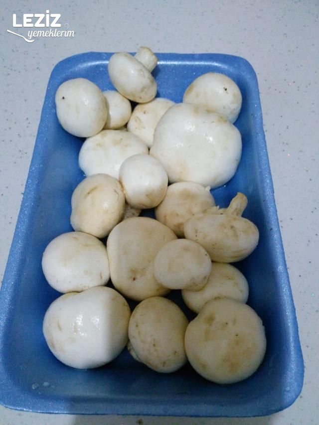 Mantar Sote (Aşamalı Anlatım)