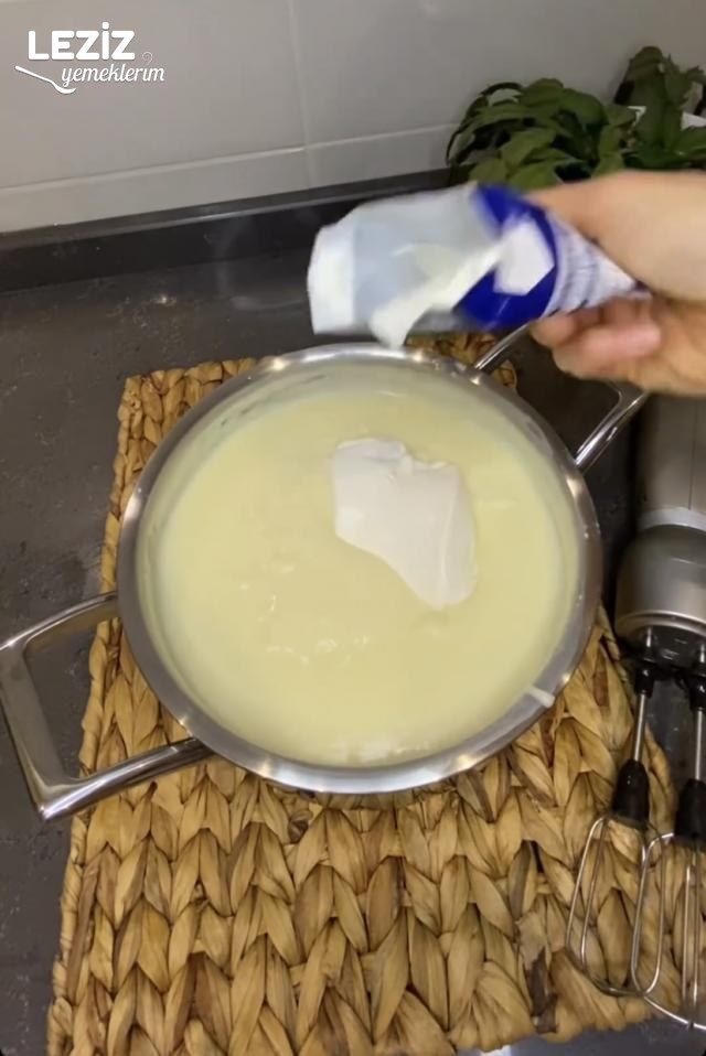 İki Renkli Magnolia