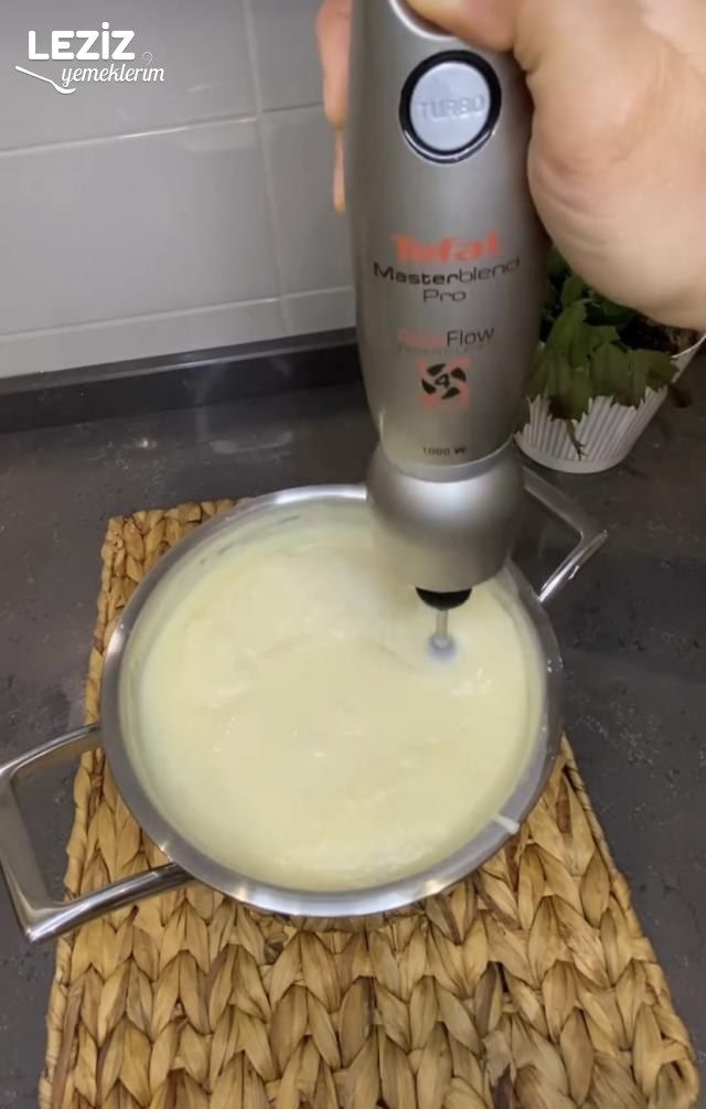 İki Renkli Magnolia