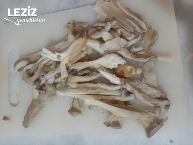 İstiridye Mantarı Fajitası