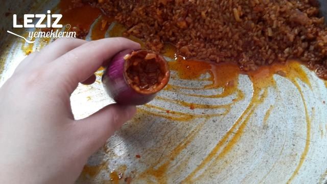 Kıymalı Yaz Dolması (Patlıcan İle)