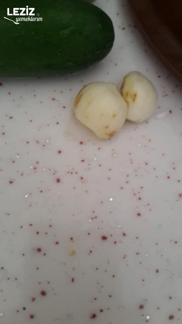 Serinleten Cacık