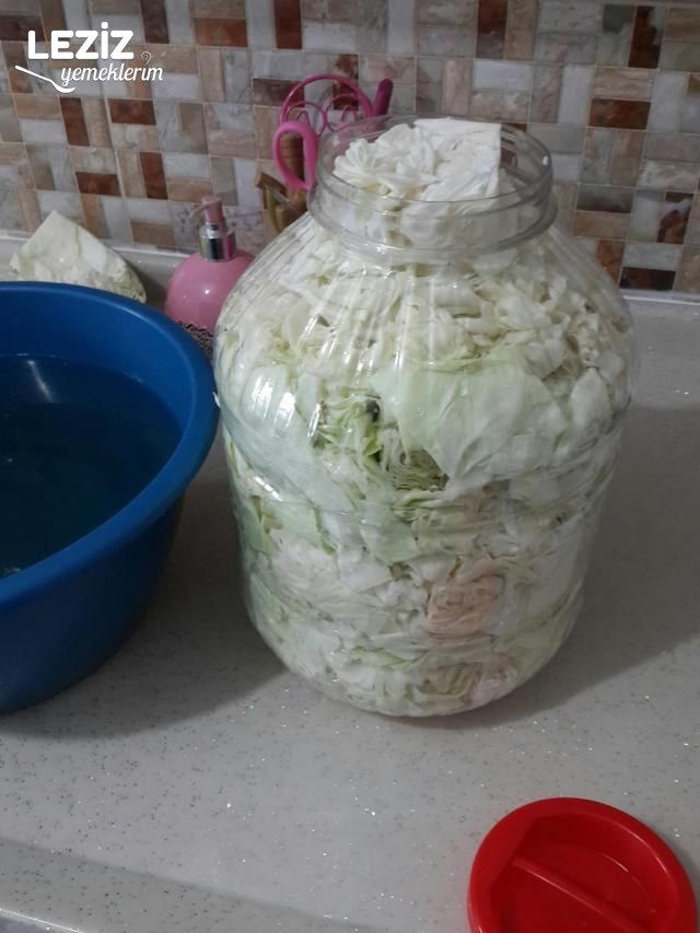 Lahana Turşusu Nasıl Yapılır