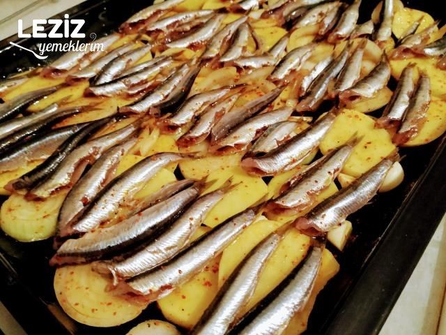 Fırında Sebzeli Hamsi
