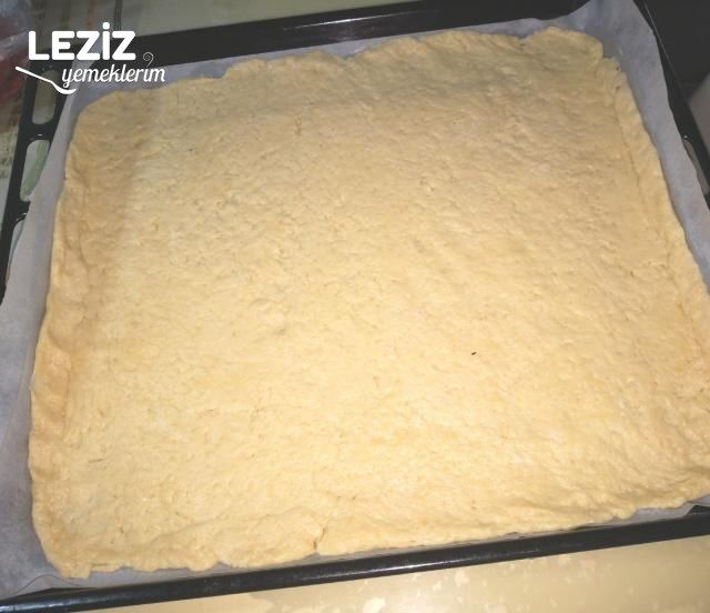 Tepsi Pizzası