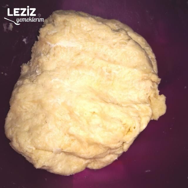 Tepsi Pizzası
