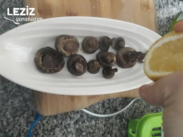 Mantar Mezesi