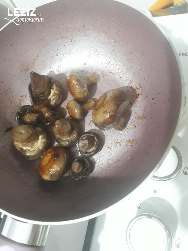 Mantar Mezesi