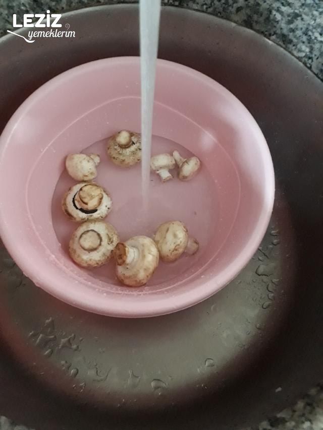 Mantar Mezesi