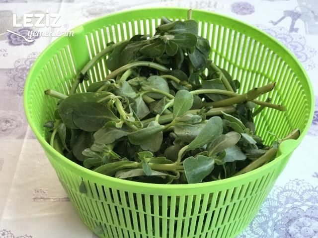 Semizotu Salatası