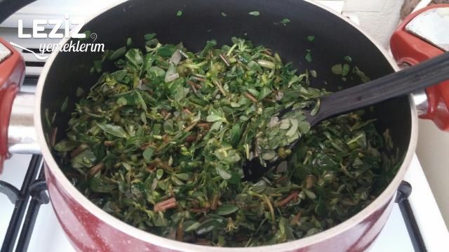 Terbiyeli Yoğurtlu Semizotu Çorbası