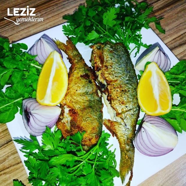 Tavada Nefis Levrek